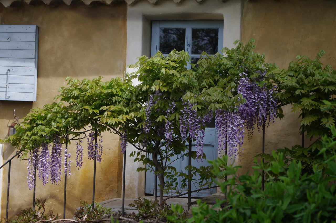 Chambre D'Hotes Au Coquin De Sort Vaison-la-Romaine Exterior foto